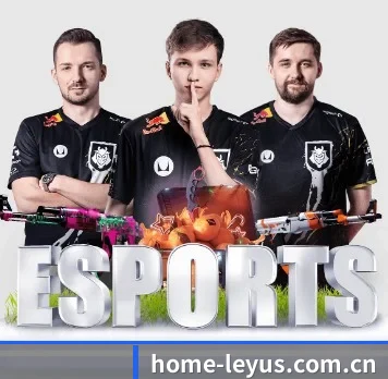 home-leyus.com.cn APP